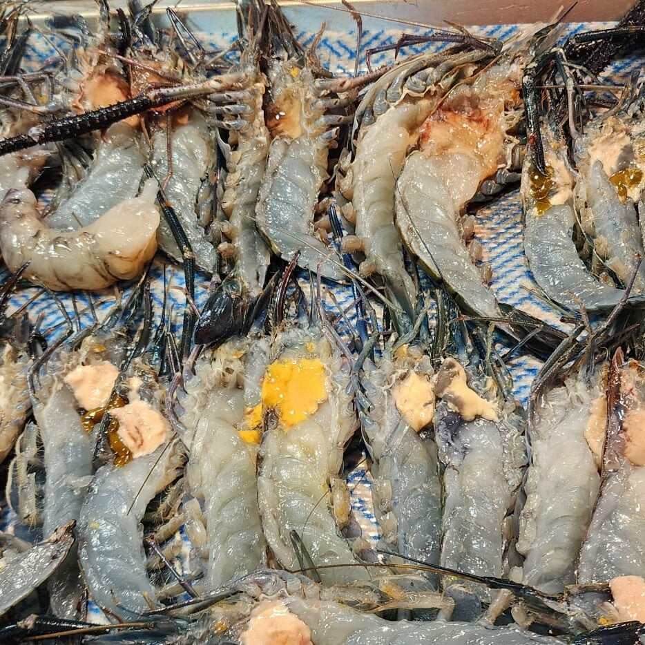 PHOTO-2026-02-20-07-34-18